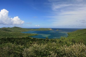 location martinique tartane
