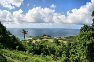location martinique tartane
