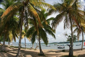 location martinique tartane