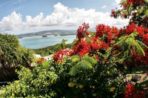 location martinique tartane