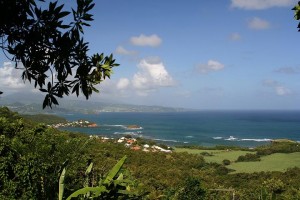 location martinique tartane