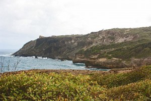 location martinique tartane