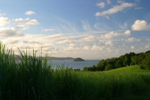 location martinique tartane